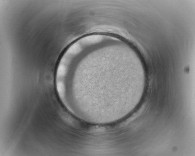 X0000103141505200809191952