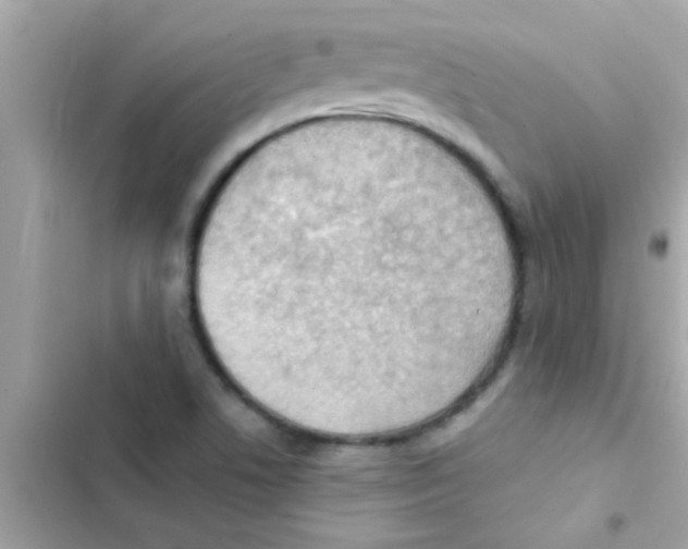 X0000103141506200809191952