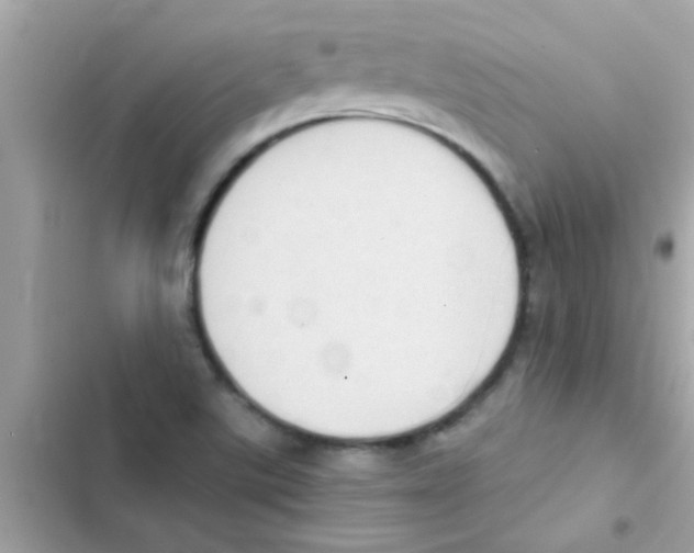 X0000103141507200809191952