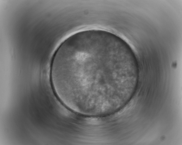 X0000103141508200809191952