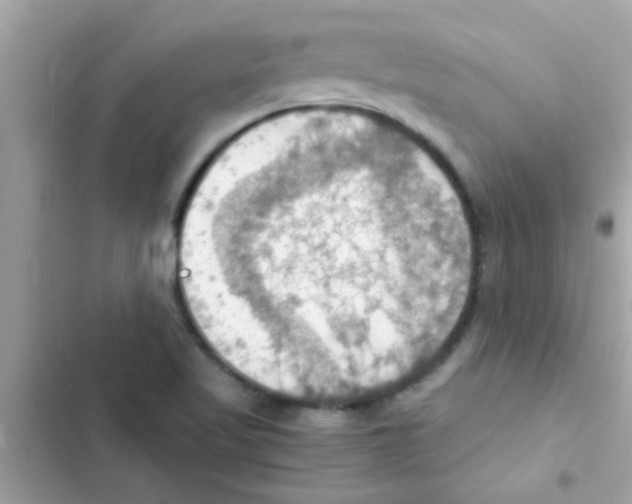 X0000103141509200809191952