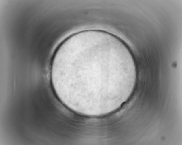 X0000103141510200809191952