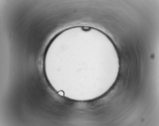 X0000103141511200809191952