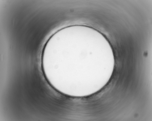 X0000103141512200809191952