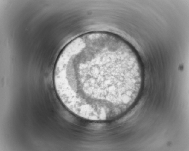 X0000103141513200809191952