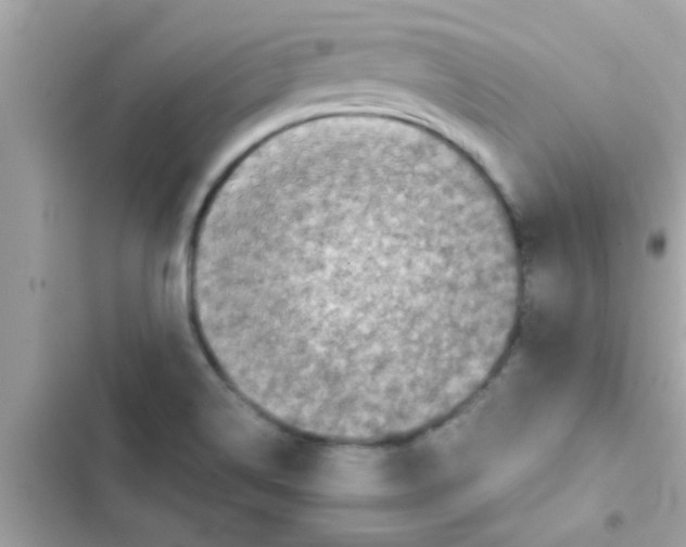 X0000103141514200809191952