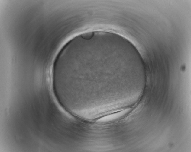 X0000103141515200809191952