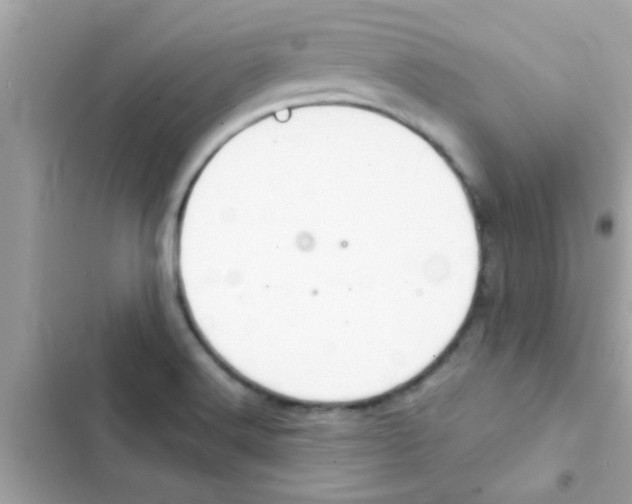 X0000103141516200809191952