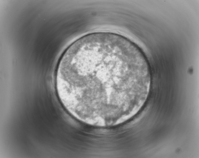 X0000103141517200809191952