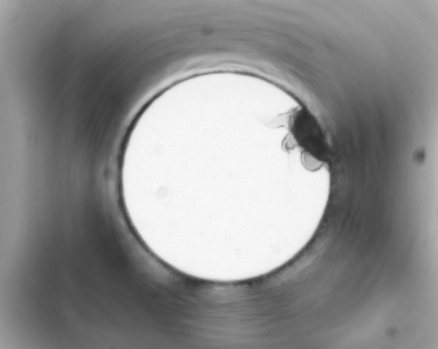 X0000103141518200809191952