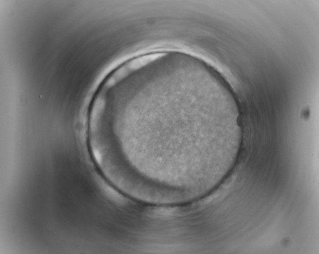 X0000103141519200809191952