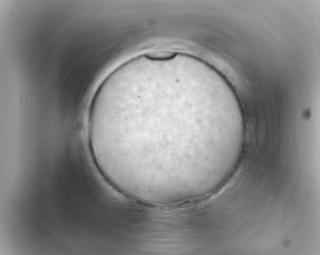 X0000103141520200809191952