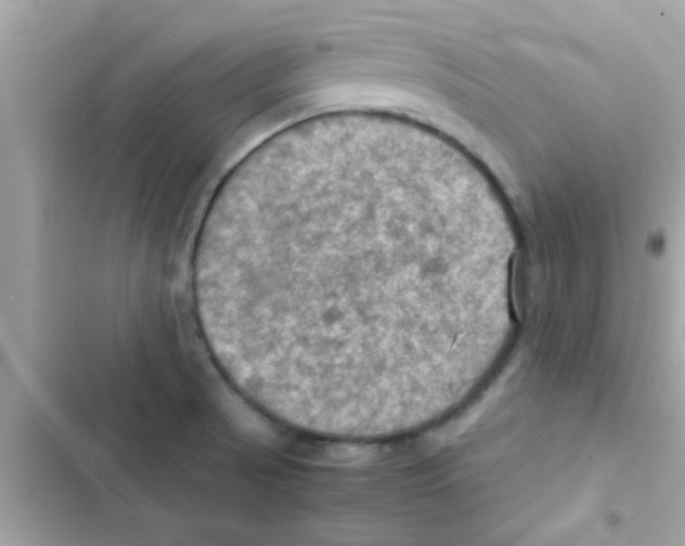 X0000103141521200809191952