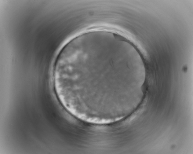 X0000103141522200809191952