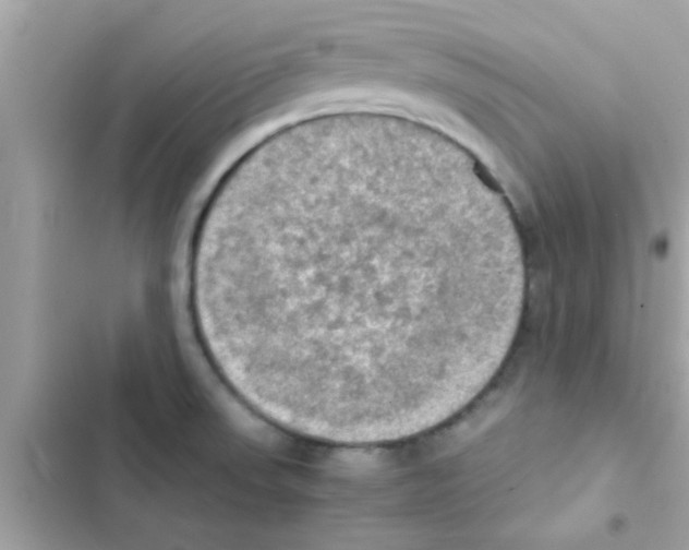 X0000103141523200809191952