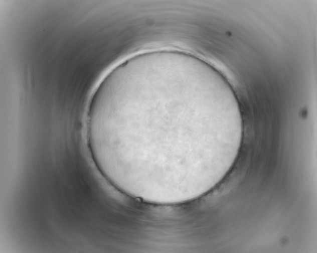 X0000103141524200809191952