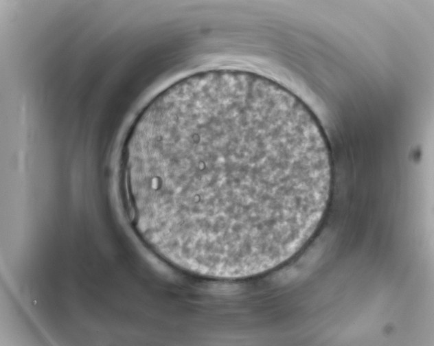 X0000103141525200809191952