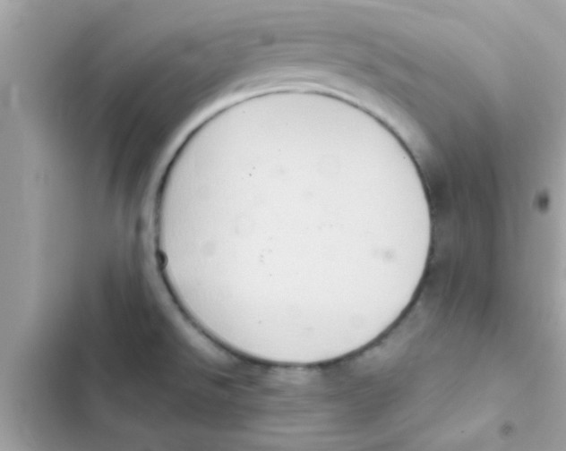 X0000103141526200809191952