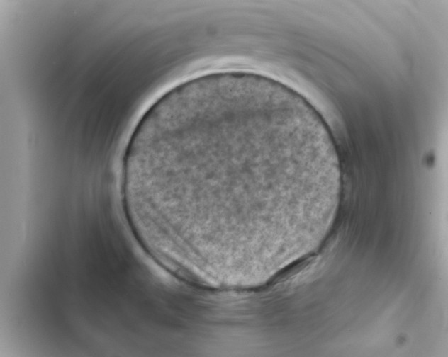 X0000103141527200809191952