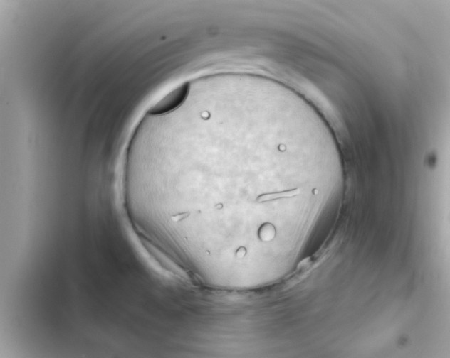 X0000103141528200809191952