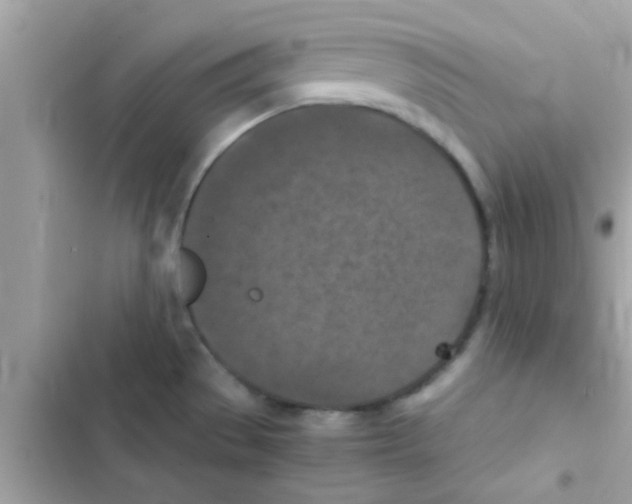 X0000103141529200809191952