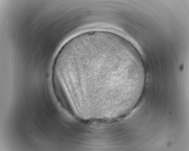 X0000103141530200809191952