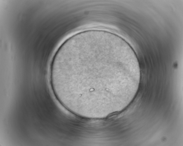 X0000103141531200809191953