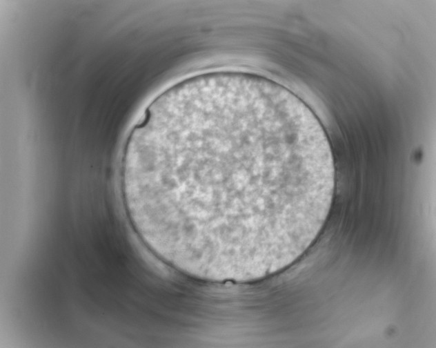 X0000103141532200809191953