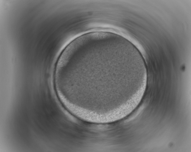 X0000103141533200809191953