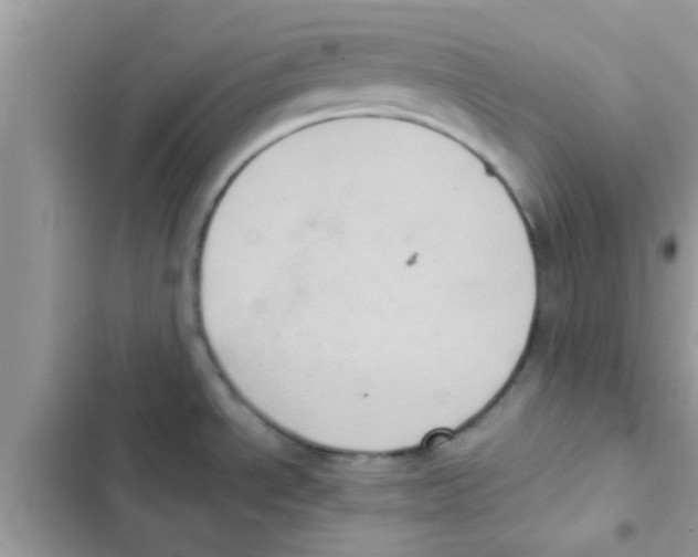 X0000103141534200809191953