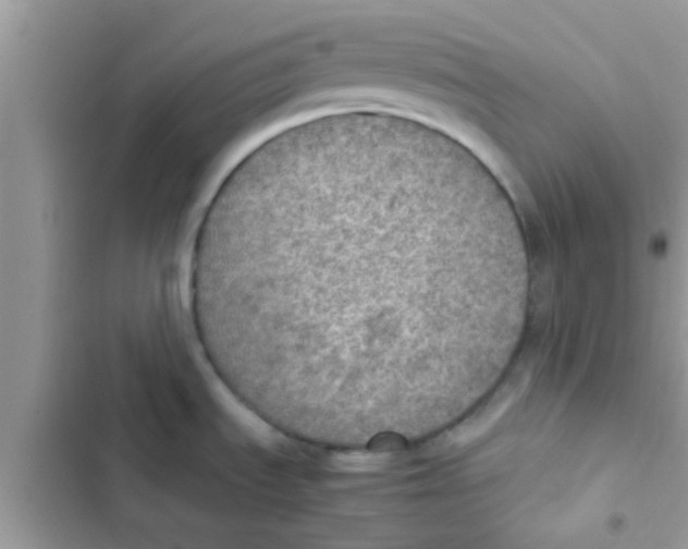 X0000103141535200809191953