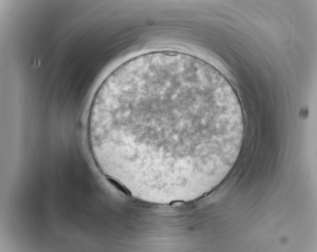 X0000103141536200809191953