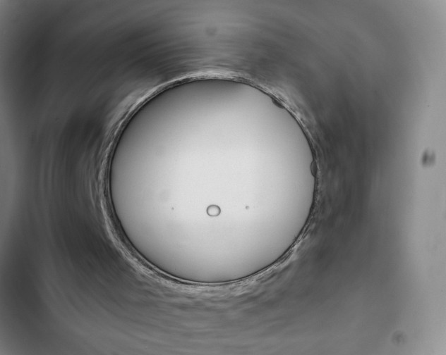 X0000103150001200808221139