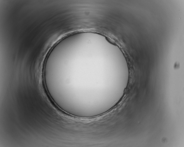 X0000103150002200808221139
