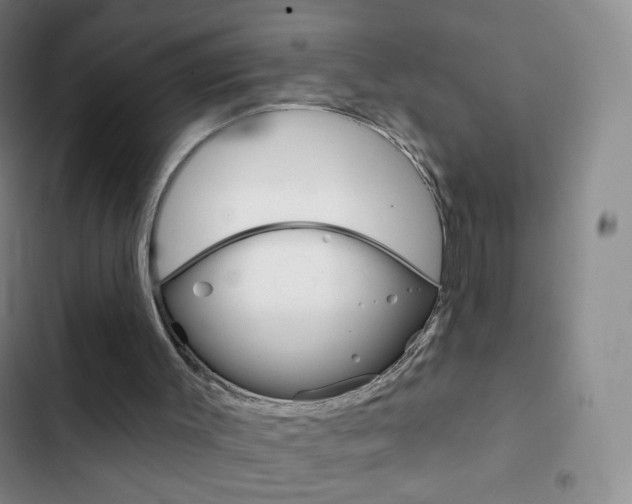 X0000103150003200808221139