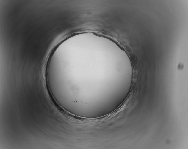 X0000103150004200808221139