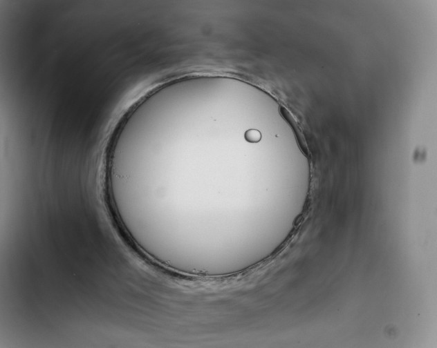 X0000103150005200808221139