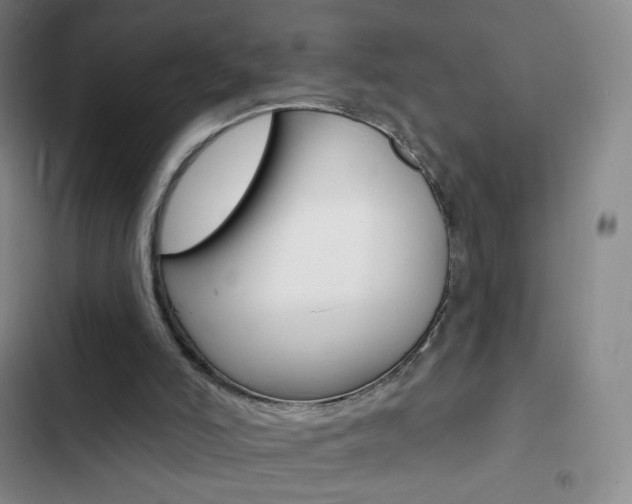 X0000103150006200808221139