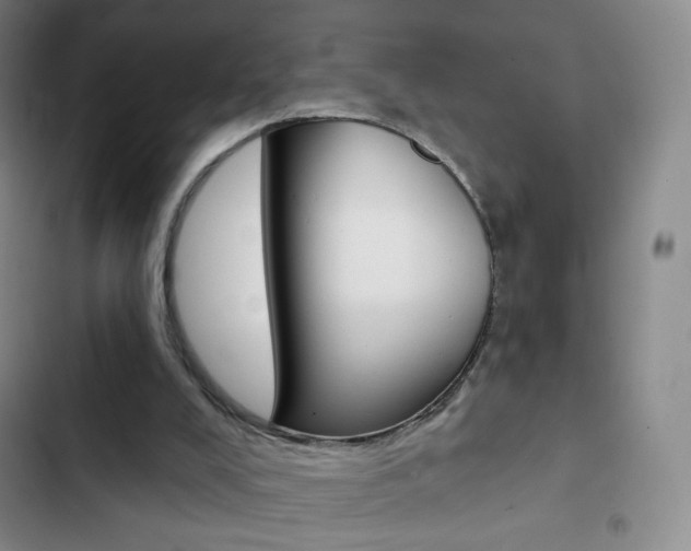 X0000103150008200808221139