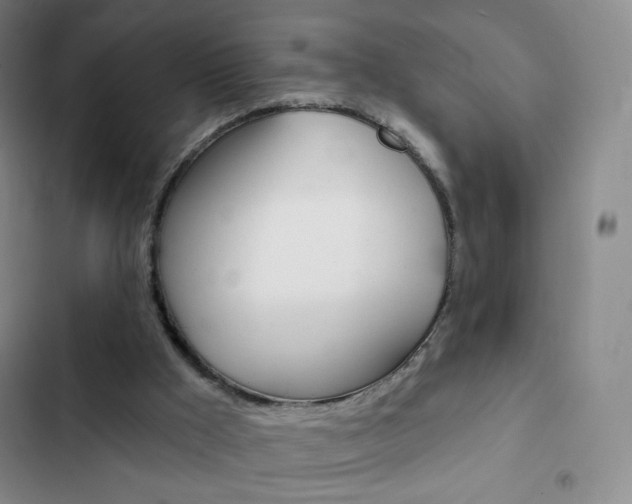X0000103150009200808221139