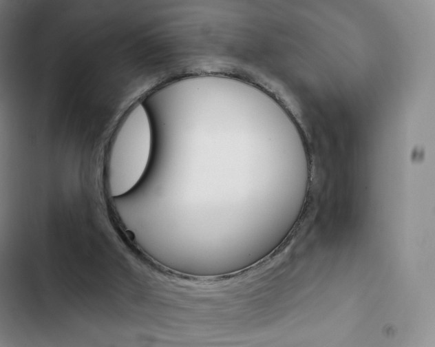 X0000103150010200808221139