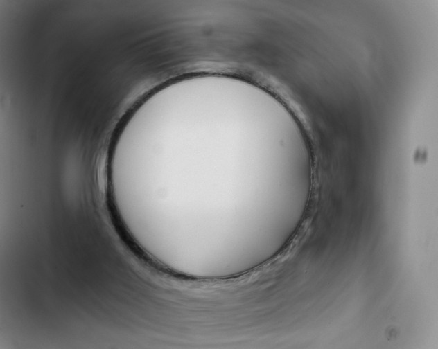 X0000103150011200808221139