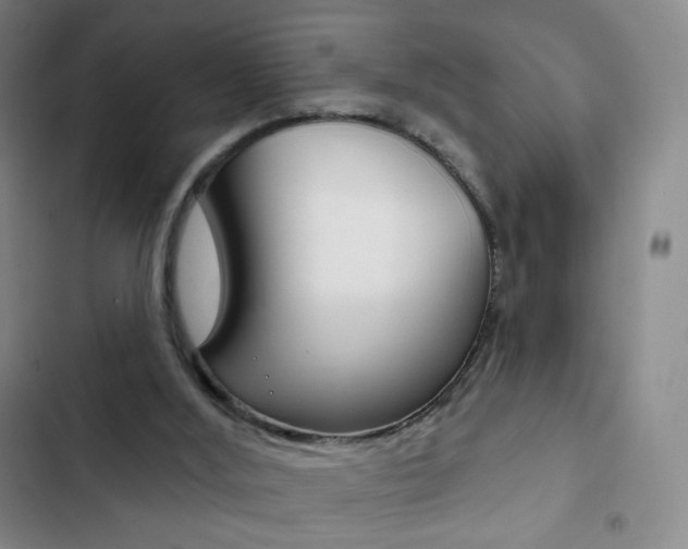 X0000103150012200808221139