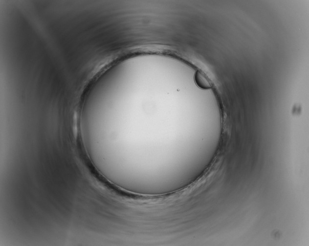 X0000103150013200808221139
