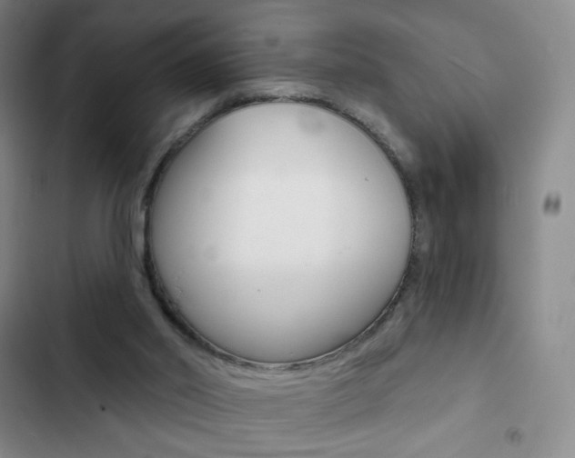 X0000103150014200808221139