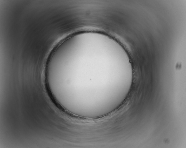 X0000103150015200808221139