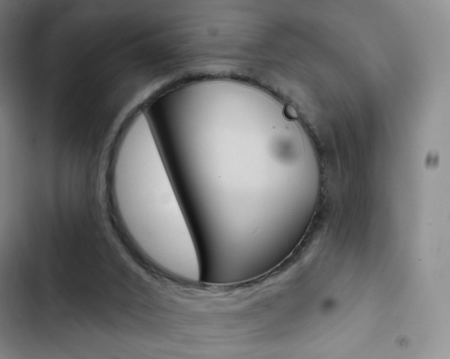 X0000103150016200808221139