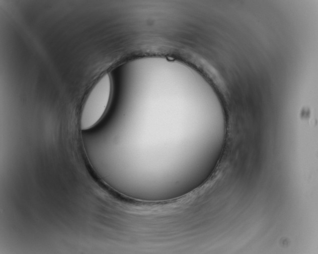 X0000103150017200808221139
