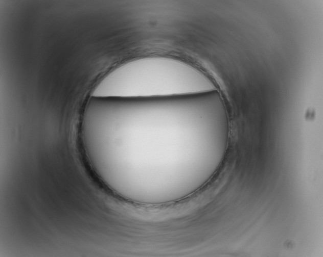 X0000103150018200808221139