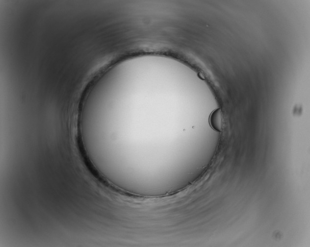 X0000103150019200808221139
